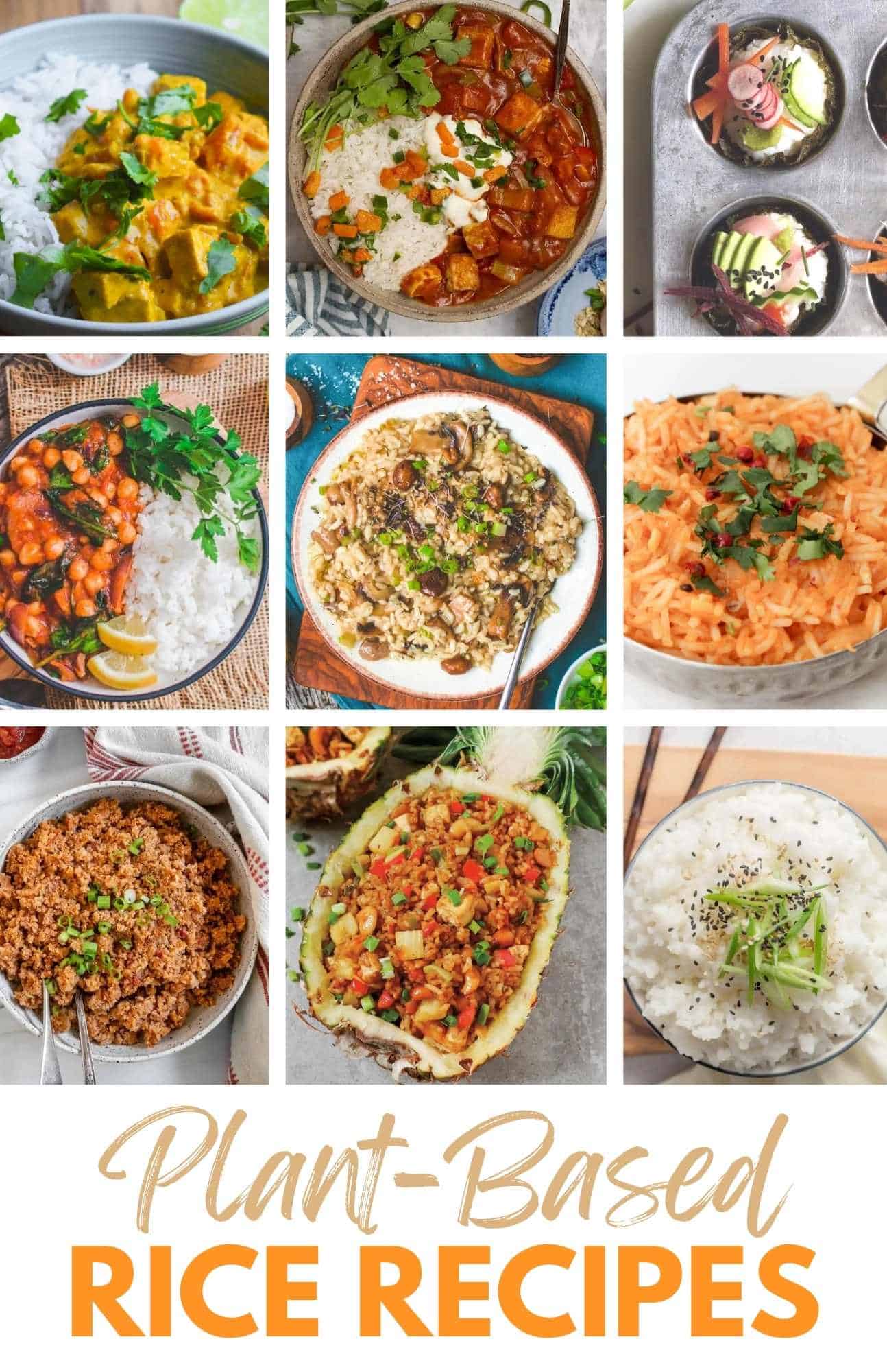 Best Plant Based and Vegan Rice Recipes