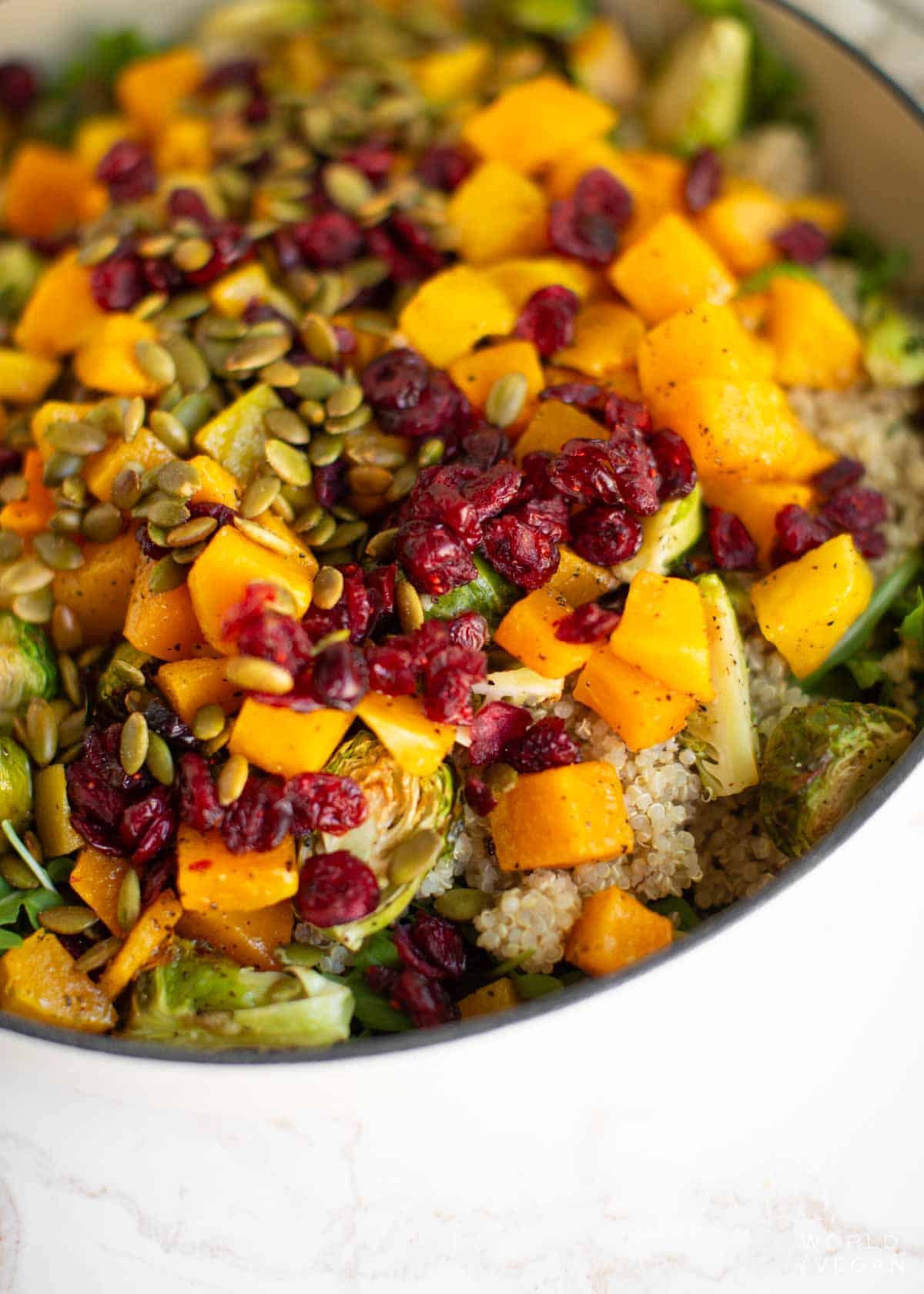 Arugula quinoa salad in a bowl topped with roasted butternut squash, dried cranberries and pumpkin seeds.