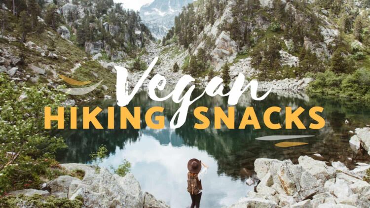 Best Vegan Hiking Snacks 2