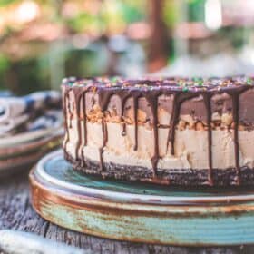 oreo cookie crust vegan ice cream cake with chocolate drizzle and chopped peanuts