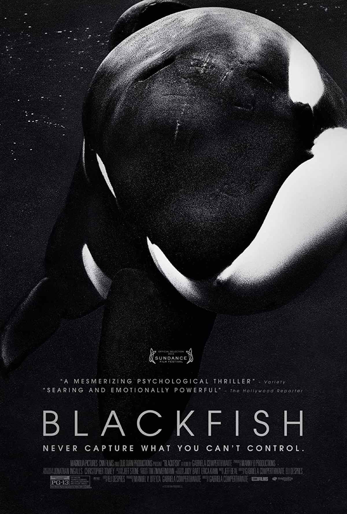 Blackfish documentary movie poster about SeaWorld and orcas and captive animals. 