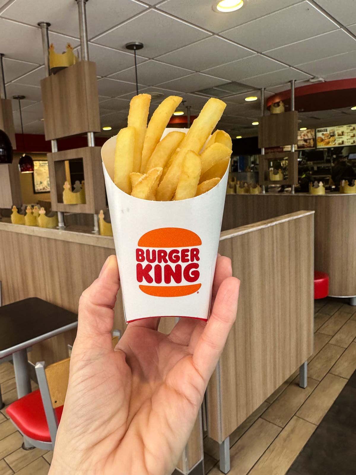 French fries at Burger King.