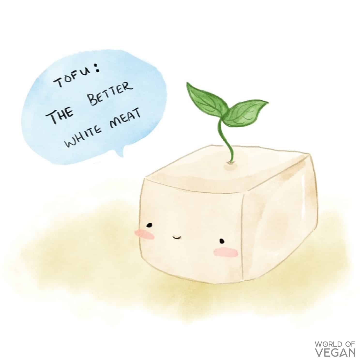 An illustration of a block of tofu with the phrase "Tofu: The Better White Meat".