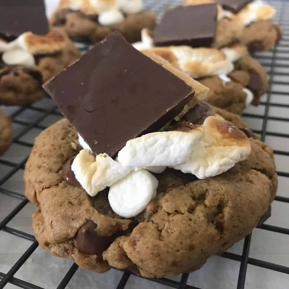 Vegan s'mores cookie from Coco Luv Bakery.
