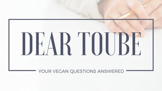 dear toube vegan questions