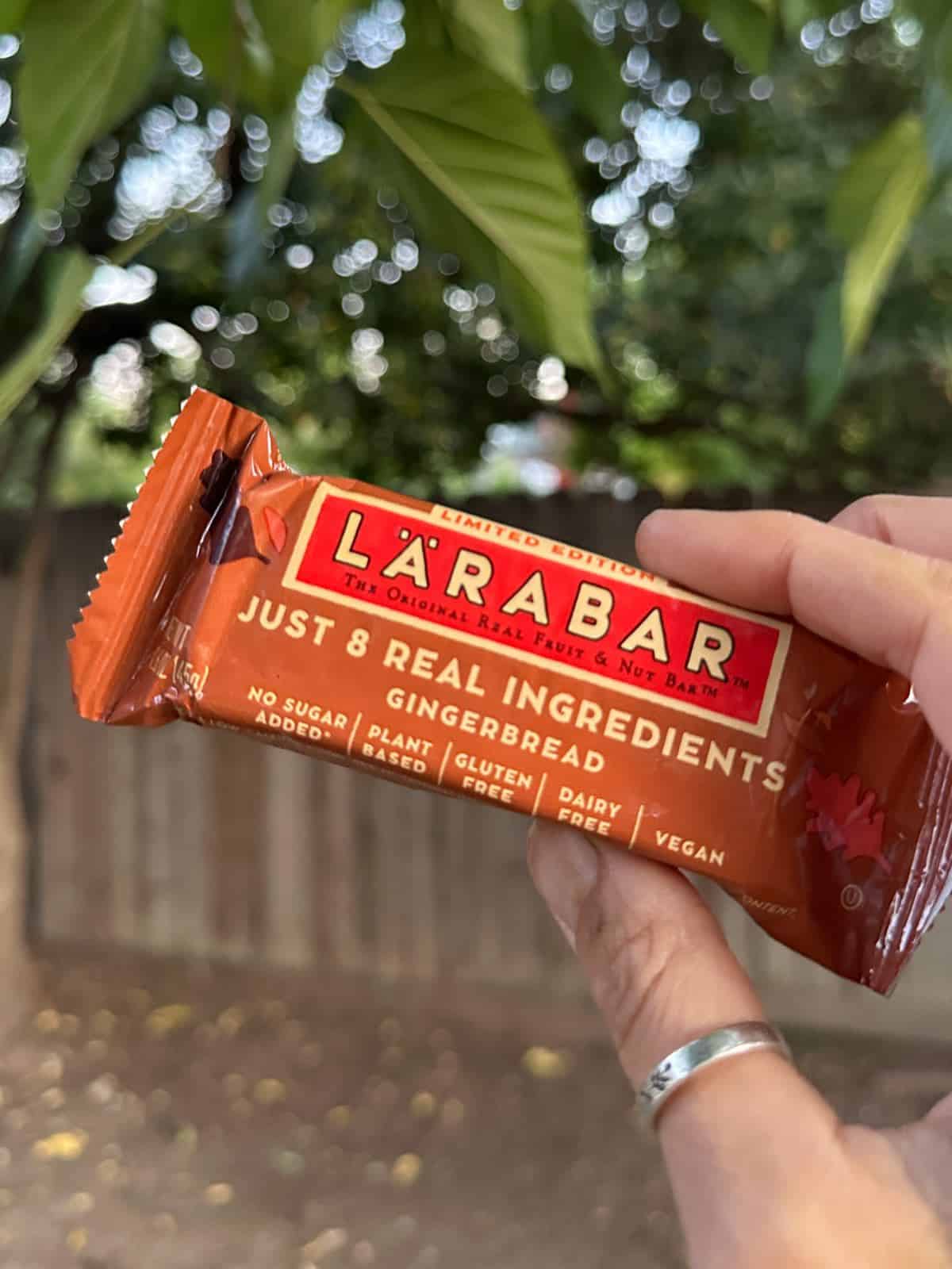 Holding out a seasonal gingerbread larabar with packaging visible. 