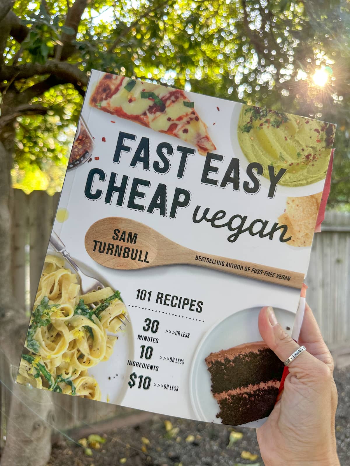 Cover art for Fast Easy Cheap Vegan by Sam Turnbull.