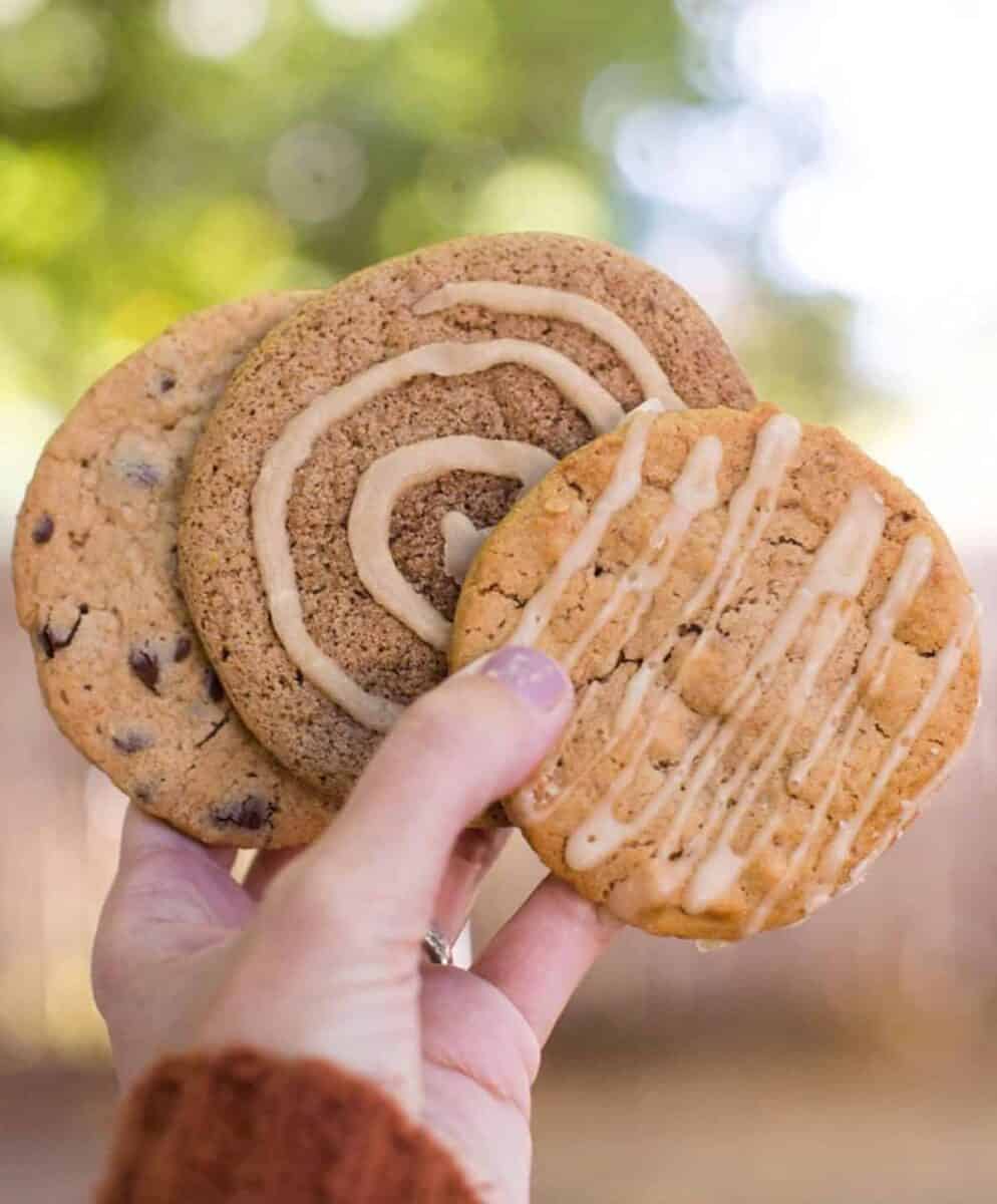 Hand holding three different vegan cookies.