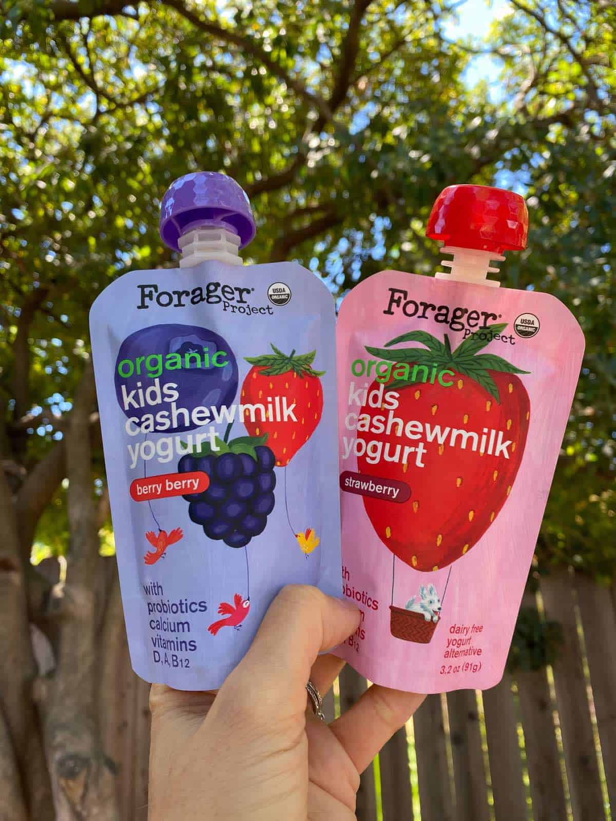 Vegan yogurt pouches in strawberry and blueberry flavor from Forager Project.