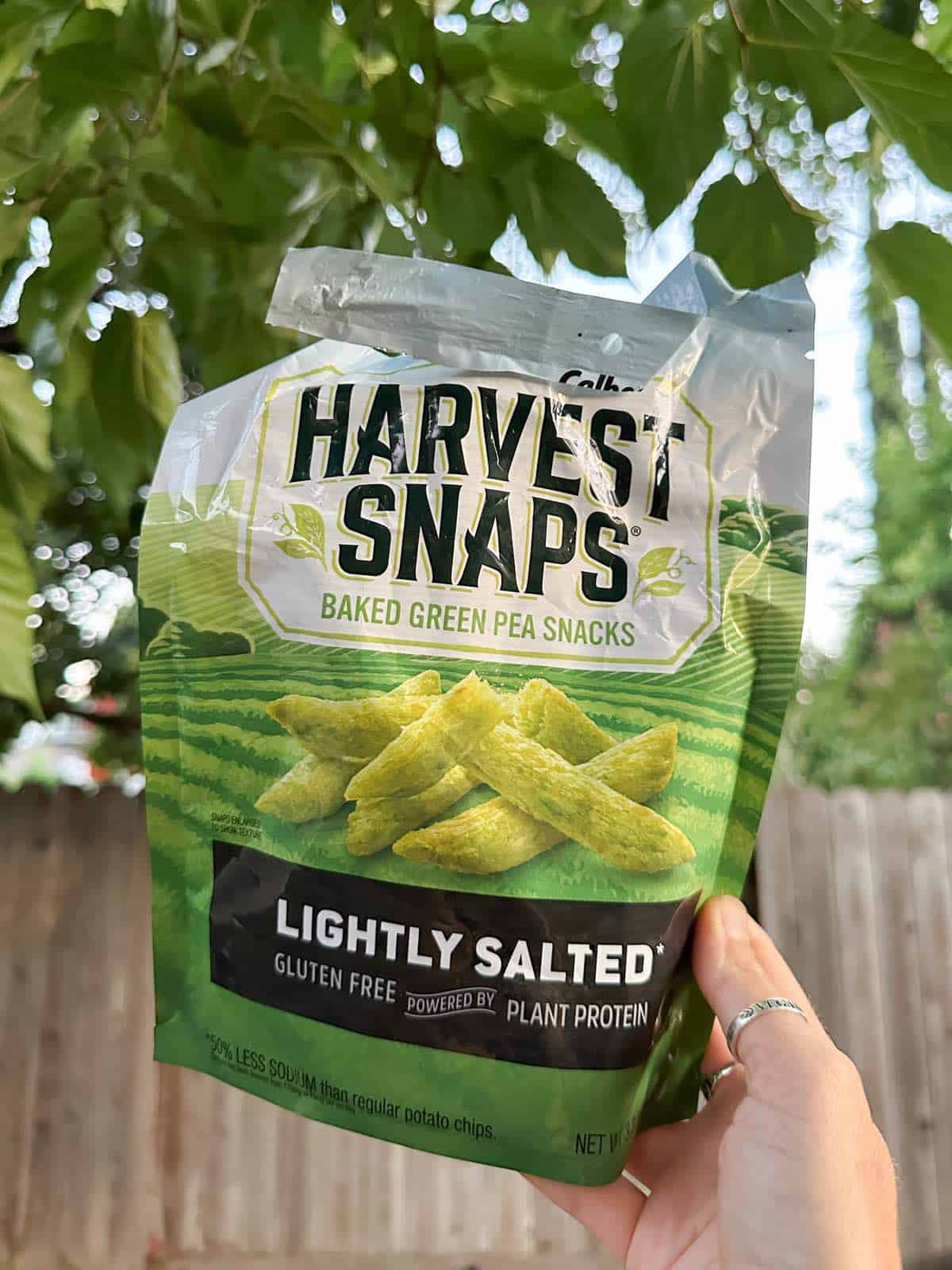 Vegan parent holding out an open bag of Harvest Snaps baked pea crisp chips. 