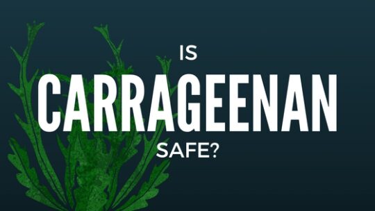 is carrageenan safe?