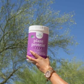 A hand holding up a package of NB Pure's plant protein.