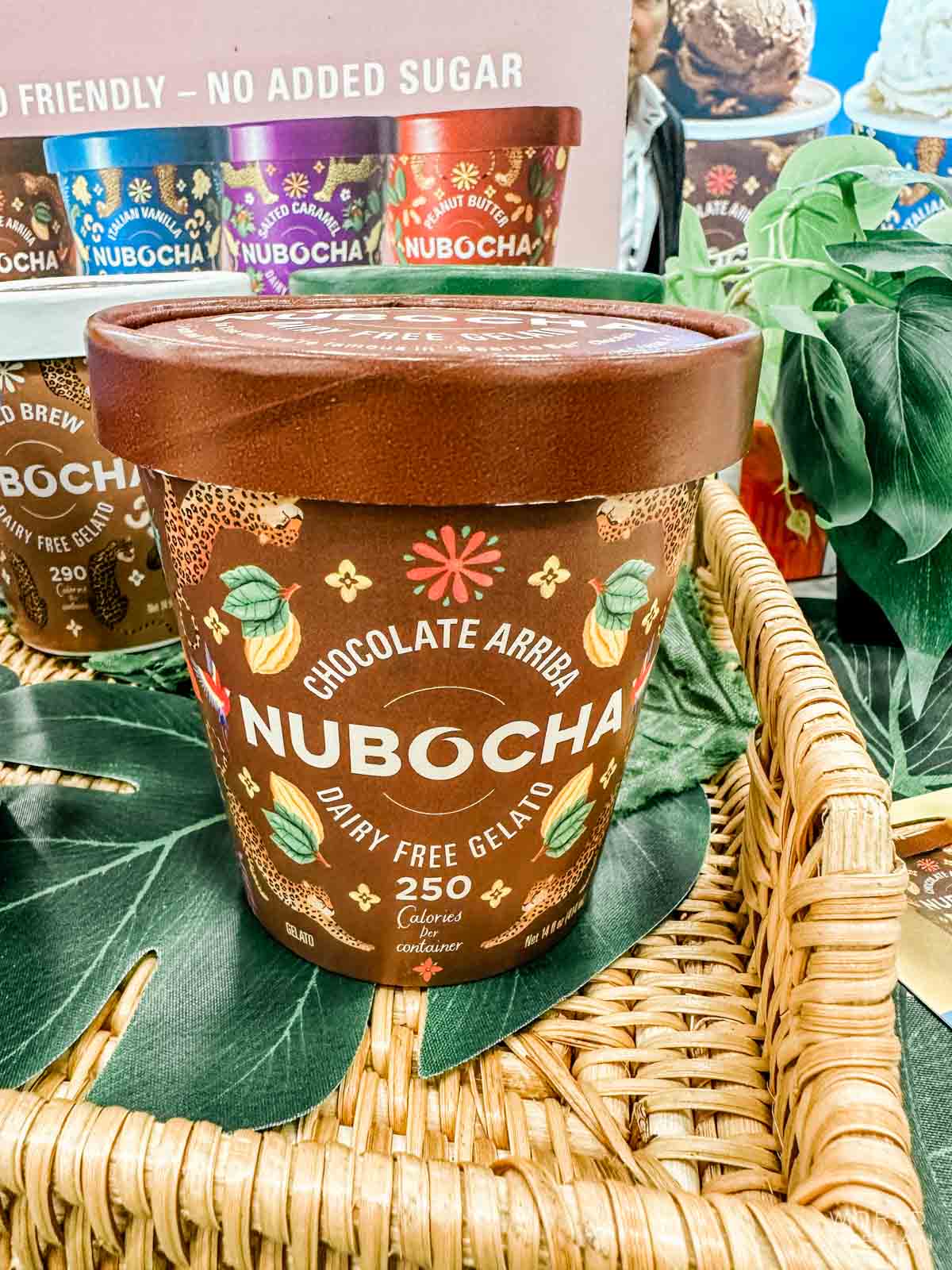 A carton of Nubocha brand vegan gelato.