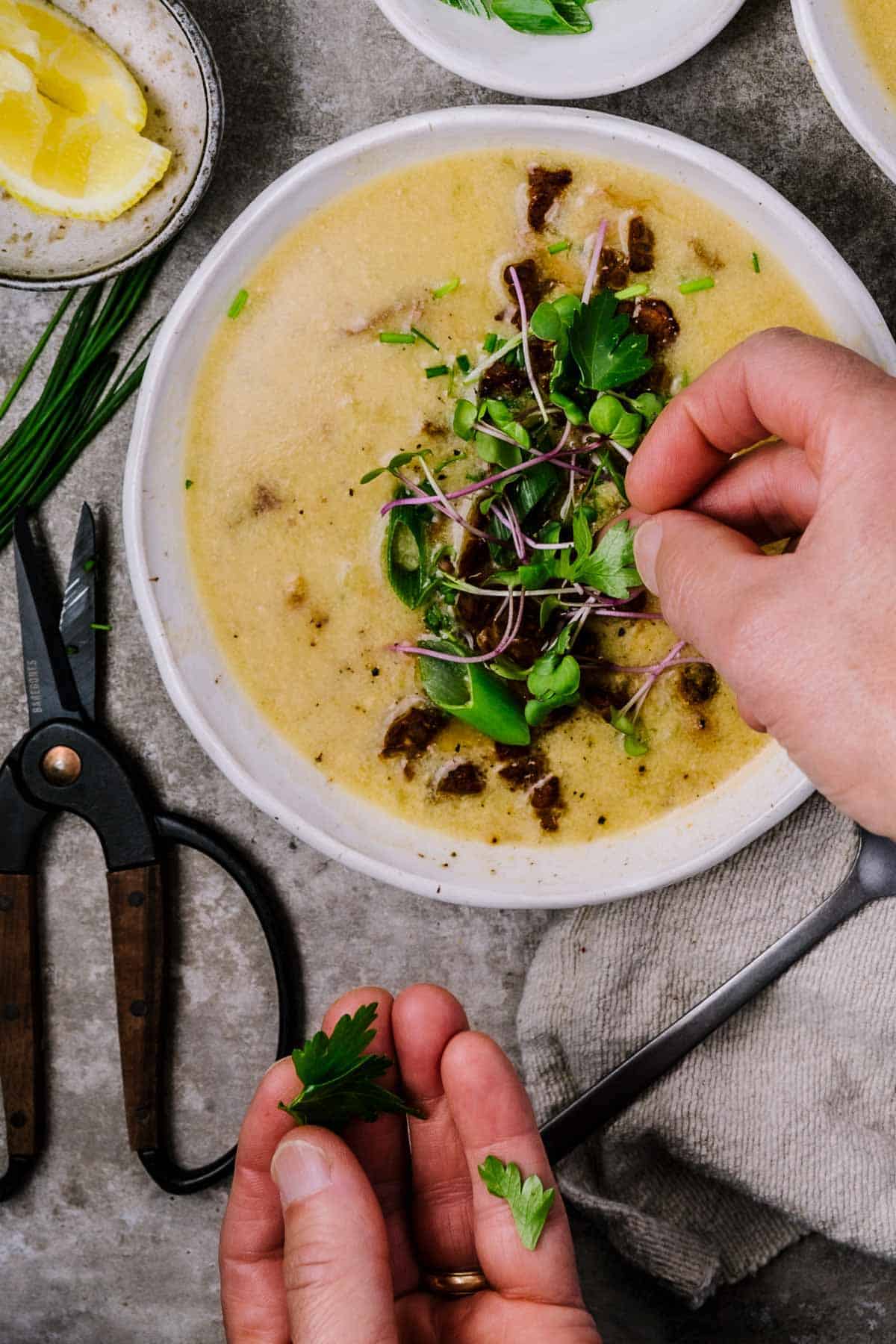 white hand garnishing a bowl of oyster mushroom chowder with herbs. the chowder is a yellow color