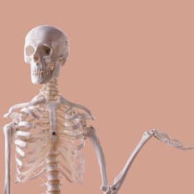 A human skeleton standing in front of a peach background with their hand out.