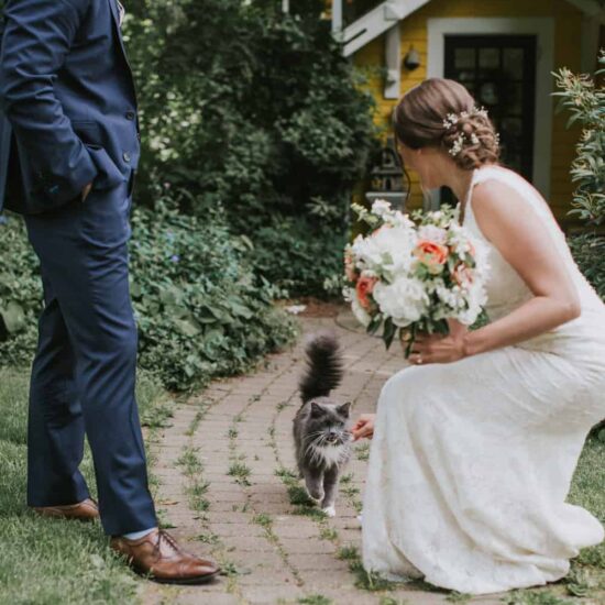 vegan wedding taylor wolfram bride with groom and cat.