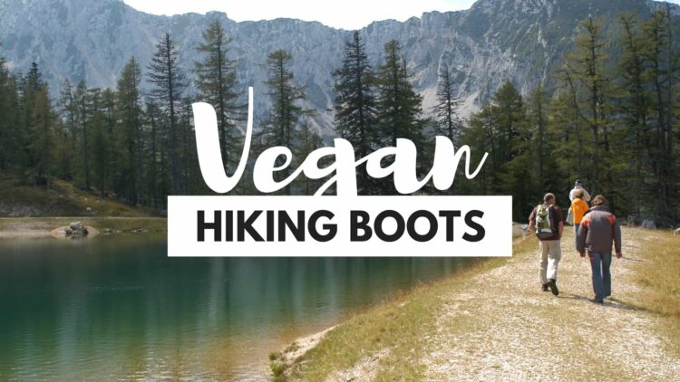 the best vegan hiking boots