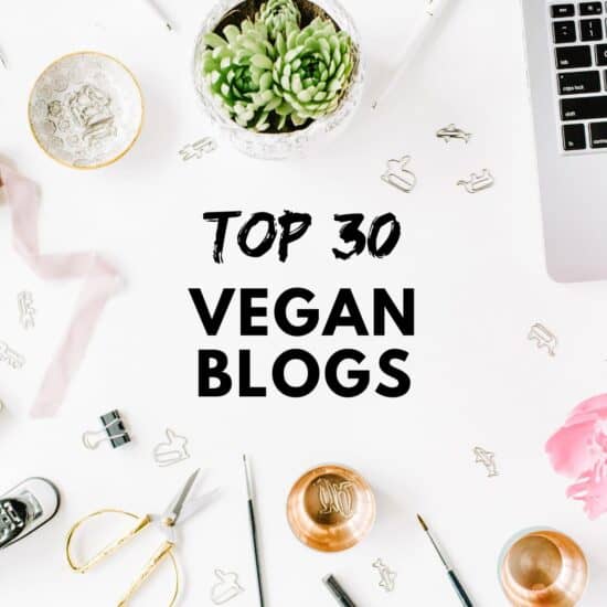 Top 30 best vegan blogs featuring foodie bloggers.