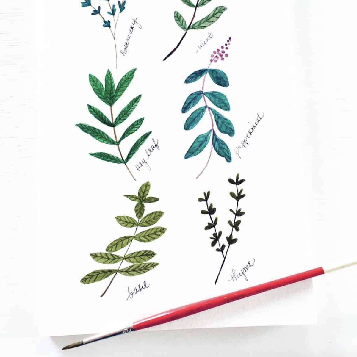 vegan art watercolor herbs painting and paint brush