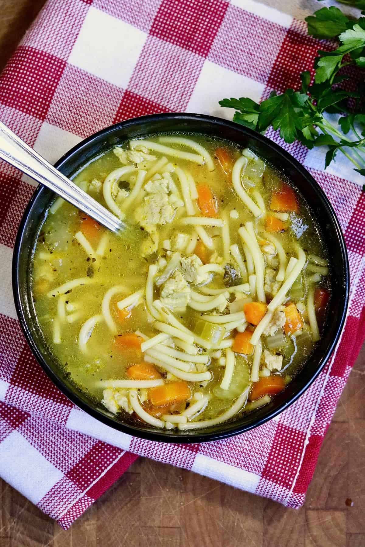 A bowl of instant pot vegan chicken noodle soup.