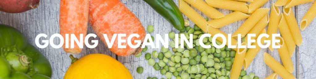 Vegan College Guide | How to Go Vegan | WorldofVegan.com | #vegan #vegetarian 