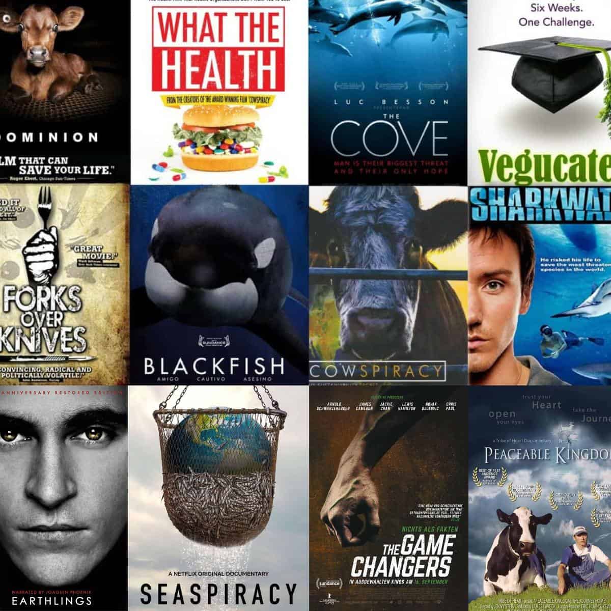 Covers of the best plant-based, health, animal rights, and vegan documentaries, films, and movies.