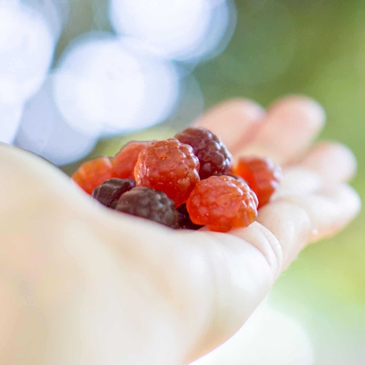 vegan gummy vitamins in a hand from naturelo plant based
