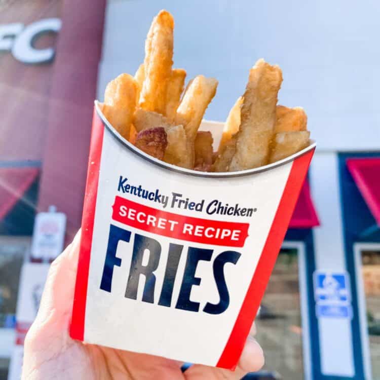 Hand holding up an order of vegan KFC Secret Recipe Fries.