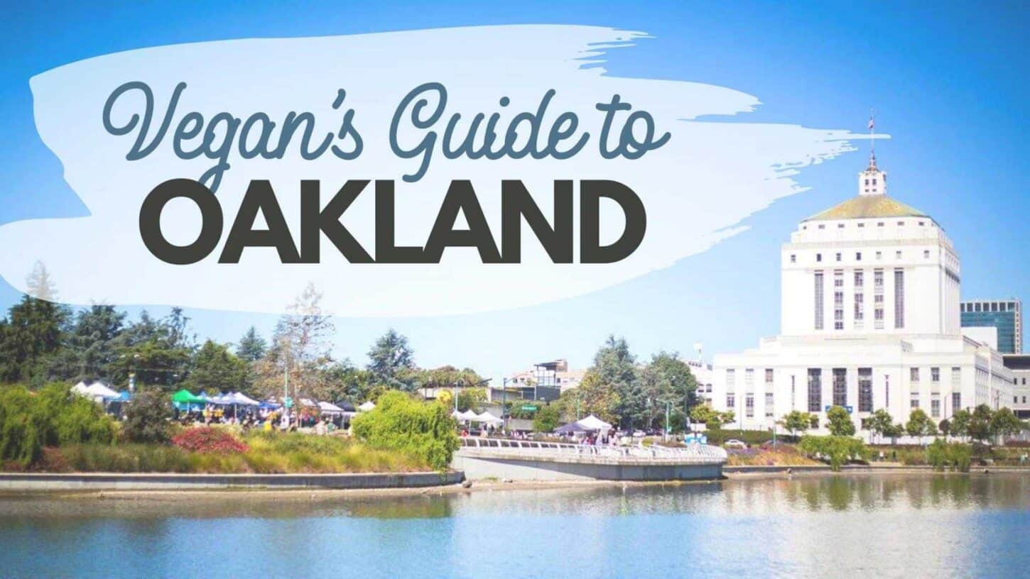 Vegan Restaurants in Oakland Guide