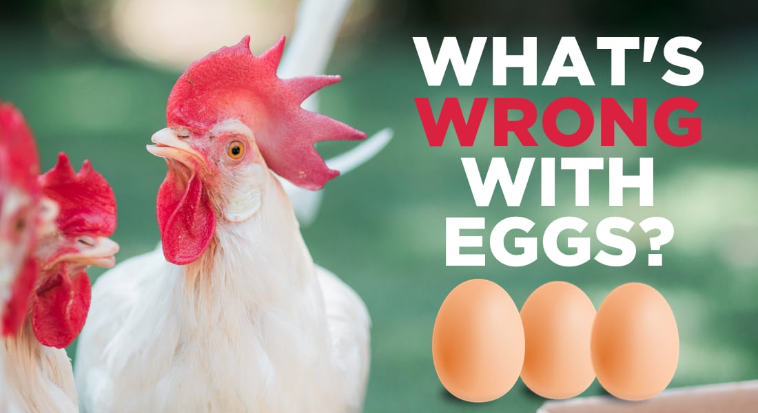 What’s Wrong with Eggs?